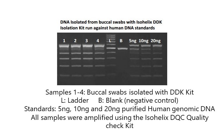 DNA vs Human Standards gr